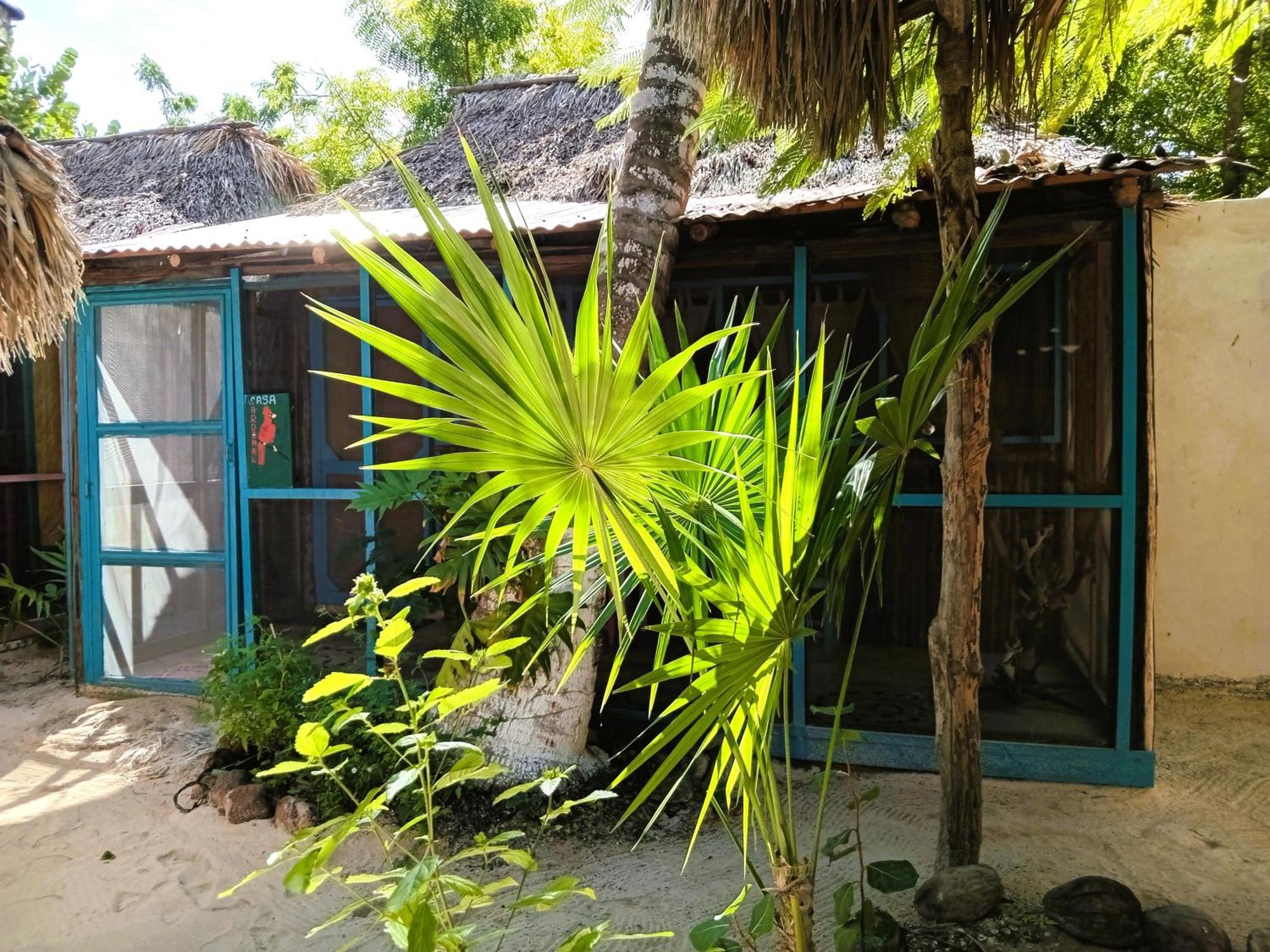 Yuluc Casa Jade Ecobungalows Las Coloradas מראה חיצוני תמונה