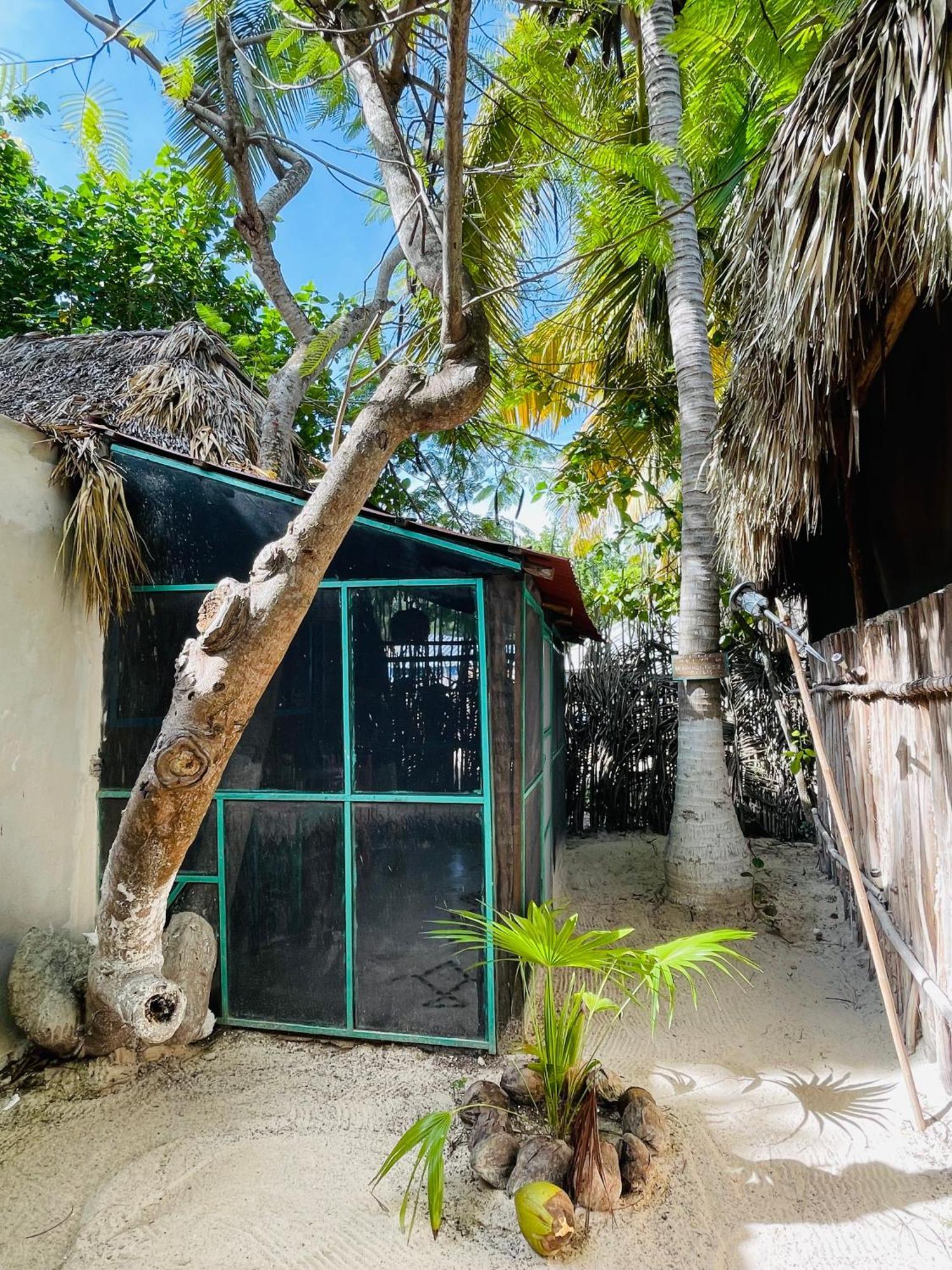 Yuluc Casa Jade Ecobungalows Las Coloradas חדר תמונה