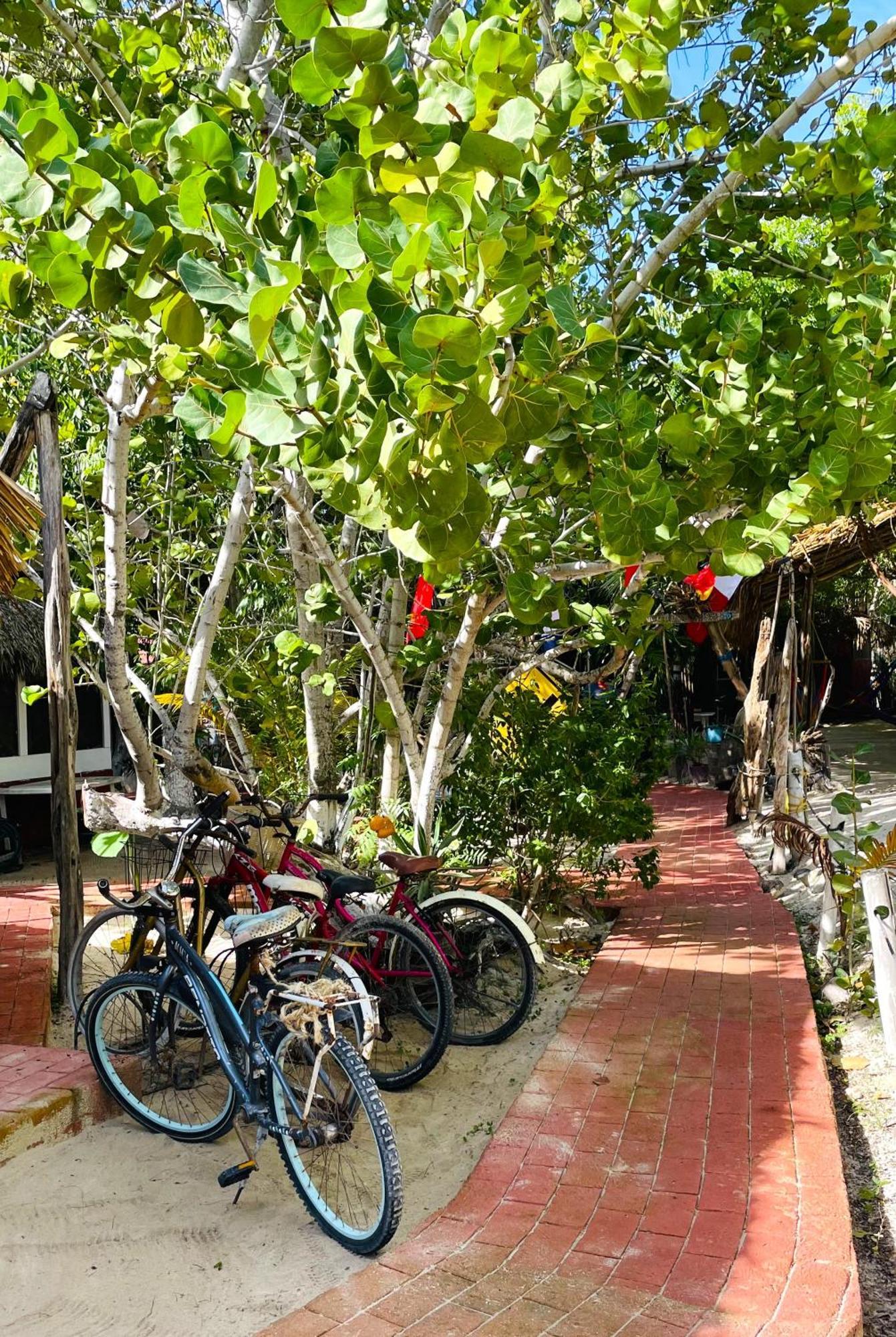 Yuluc Casa Jade Ecobungalows Las Coloradas מראה חיצוני תמונה